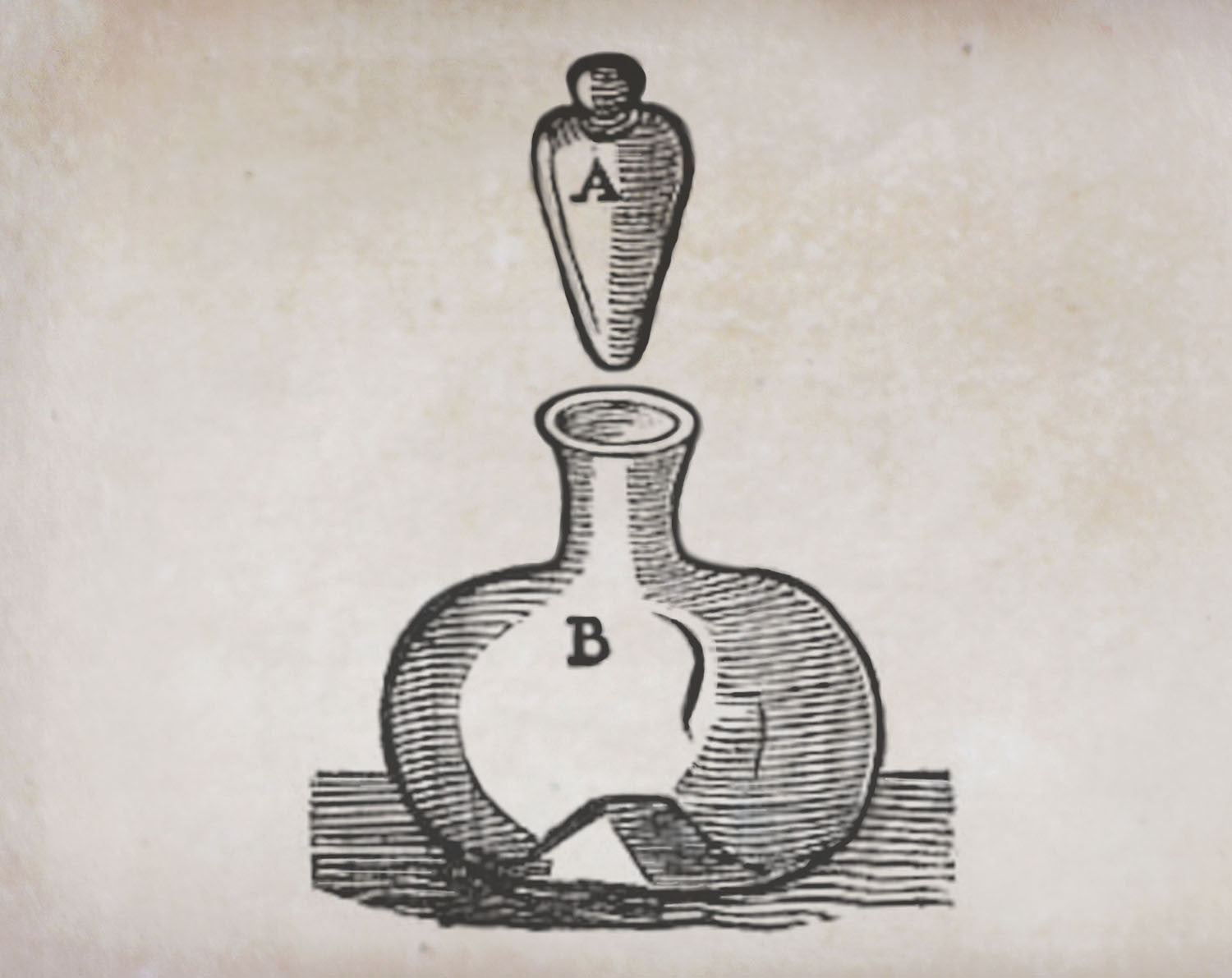 Art of Botanical Perfume Online Course