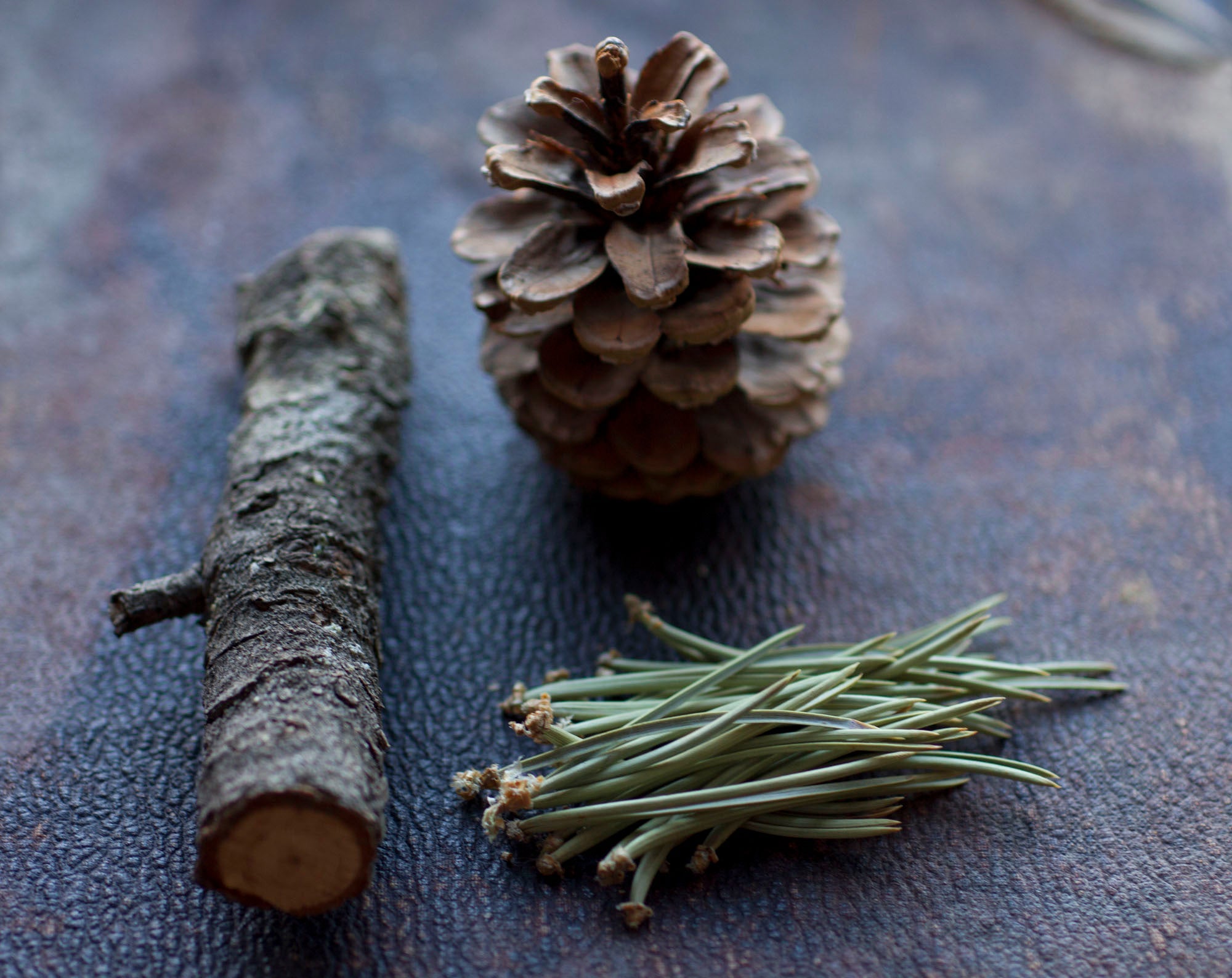 Figure 5: Bois Solid Natural Perfume Round Jar