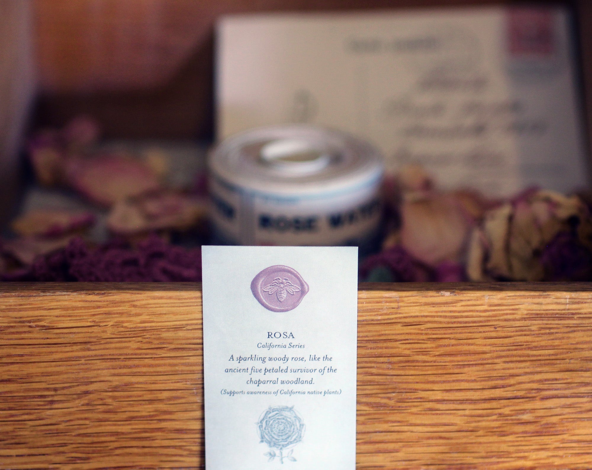 Rosa Solid Natural Perfume in Round Jar