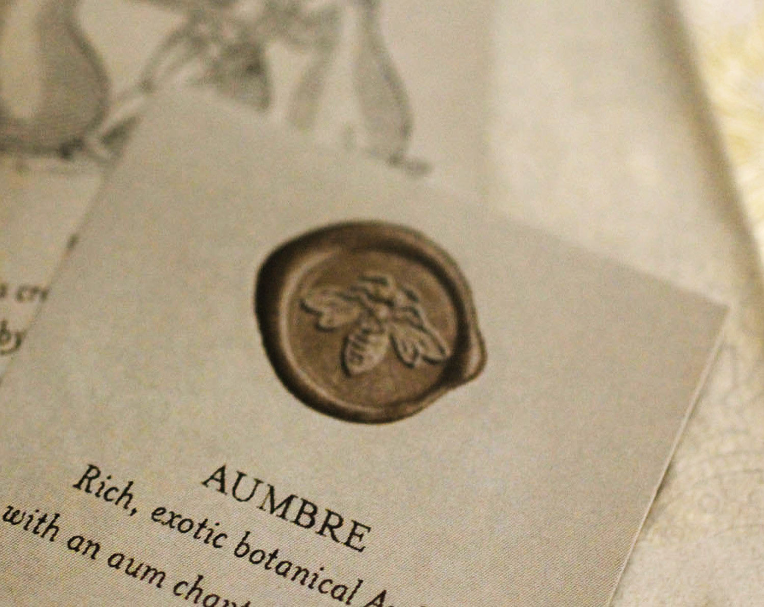 Aumbre Solid Perfume in Round Jar