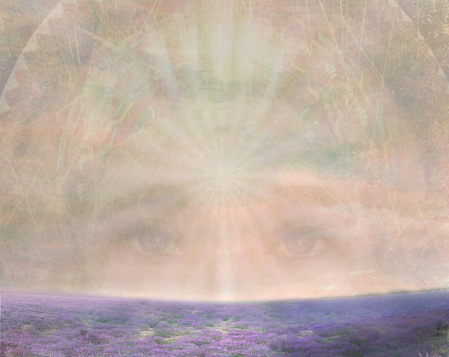 Vera Solid Natural Perfume in Round Violet Jar